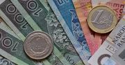 Zamiana złotego na euro? Polacy mówią, co myślą