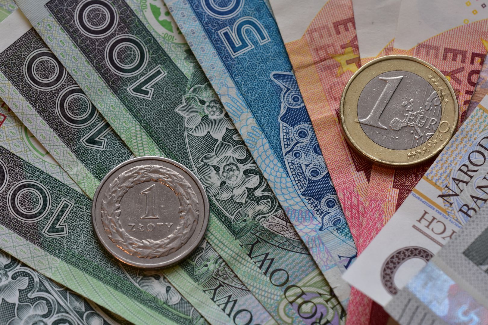 Zamiana złotego na euro? Polacy mówią, co myślą