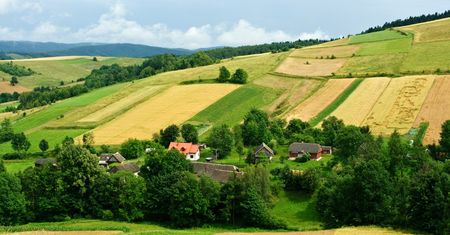 Co wiesz o polskiej wsi? Sprawdź się w krzyżowce