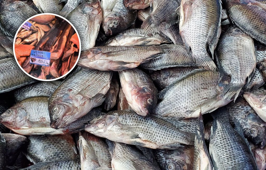 Świeża rybka nad Bałtykiem? Oto aktualne ceny. "Droższe niż w górach"