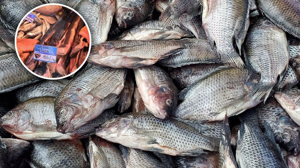 Oto aktualne ceny ryb nad morzem