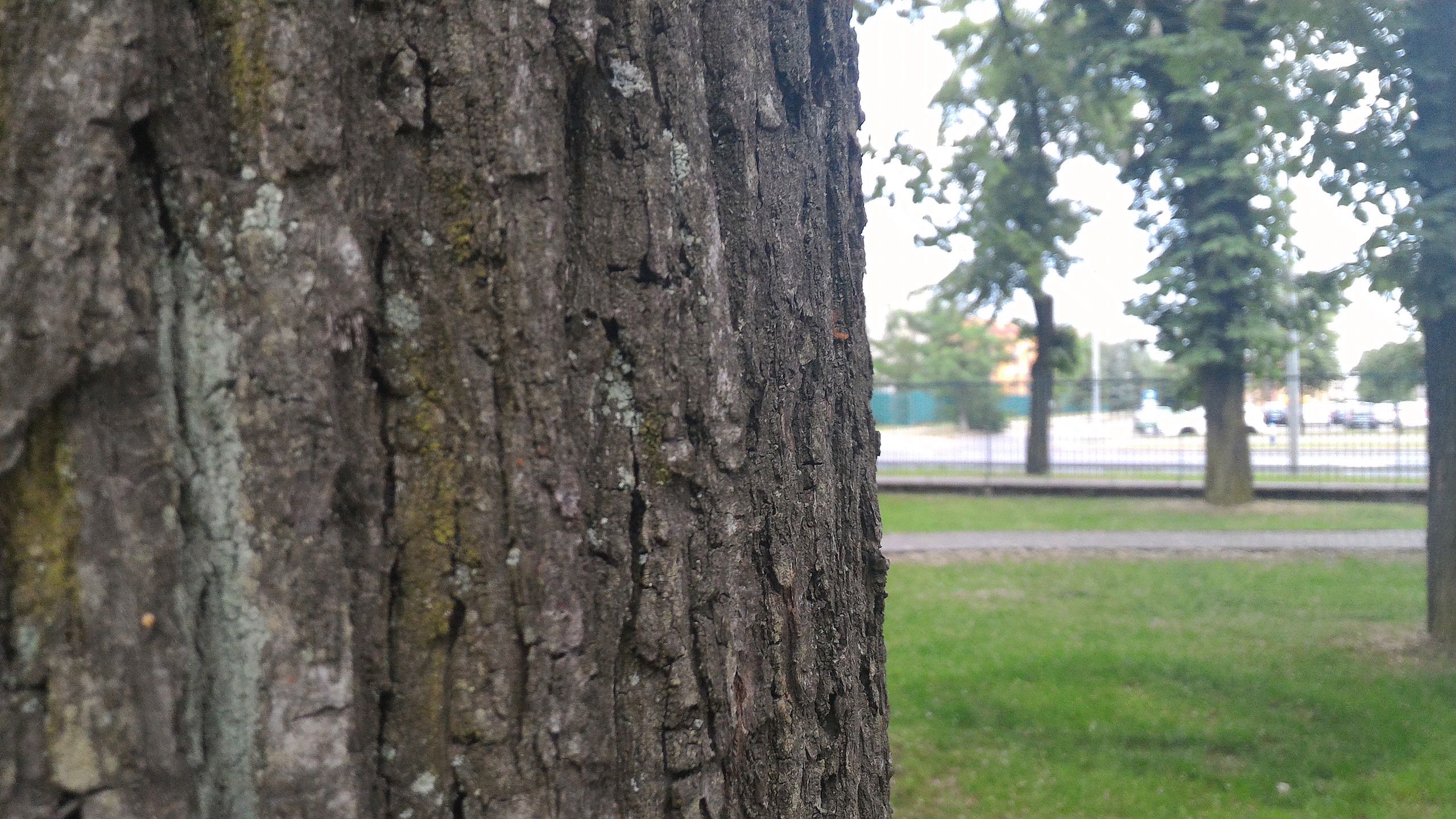 Asus ZenFone 2 (ZE551ML) z 4 GB pamięci RAM - test i recenzja 65