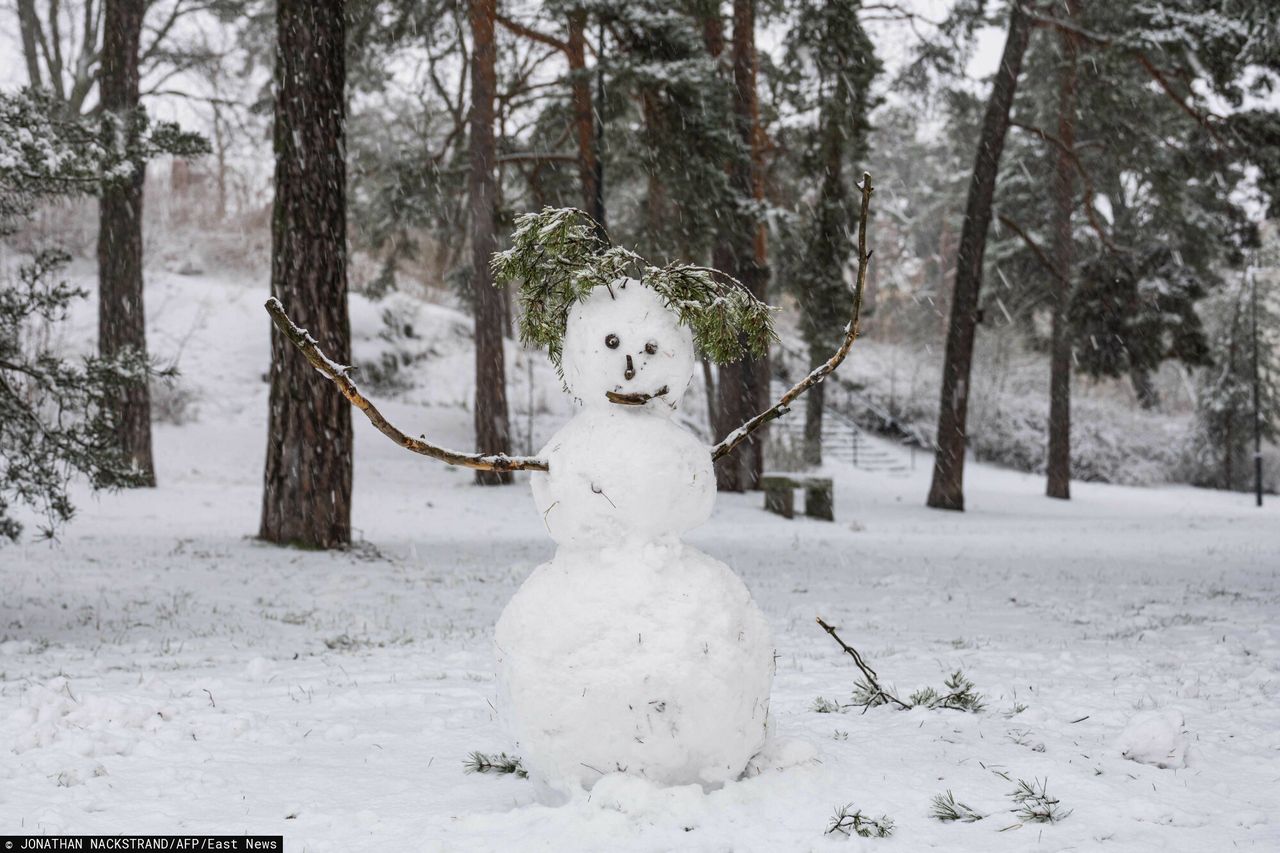 Jak rekordowe ciepło "zgasiło" słońce nad Północą? Skandynawia stała się w grudniu laboratorium zmiany klimatu