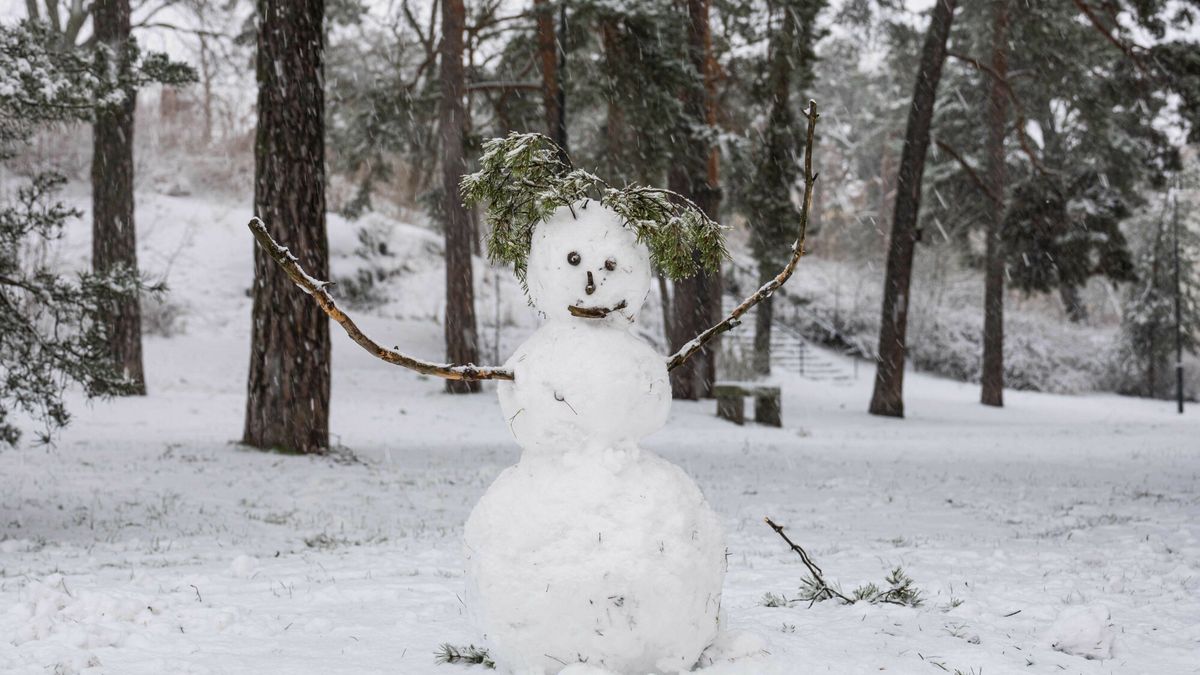 Śnieżyca w Sztokholmie 1 stycznia 2026 roku 