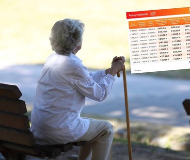 Pieniądze dla seniorów. Tyle wyniesie renta wdowia [TABELA]