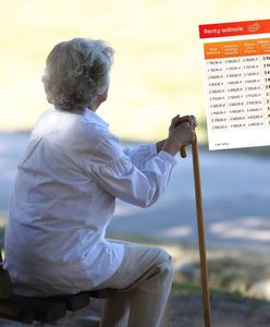 Pieniądze dla seniorów. Tyle wyniesie renta wdowia [TABELA]