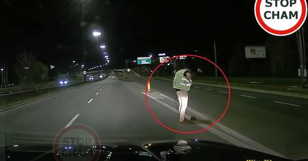 Zareagowali w porę na drodze. Uratowali jeżyka i kaczą rodzinkę