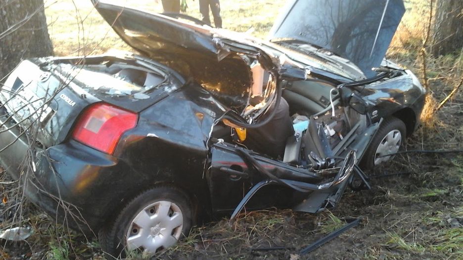 Toyota uderzyła dachem w drzewo