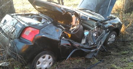 Toyota uderzyła dachem w drzewo. Kobieta i dziecko trafili do szpitala