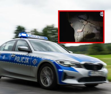 Ukrywał się przed policją półtora roku. Znaleźli go łowcy głów