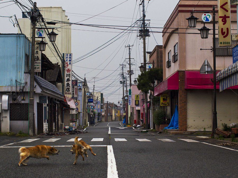 Rejon Fukushimy (Fot. Business Insider/AP Photo/David Guttenfelder)