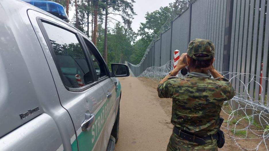 Płot przy granicy z Białorusią