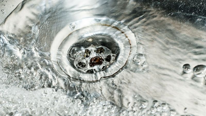 Odpływy w domu są siedliskiem niebezpiecznych bakterii