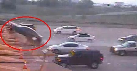 Jak w ekstremalny sposób ominąć bramki na autostradzie? [wideo]