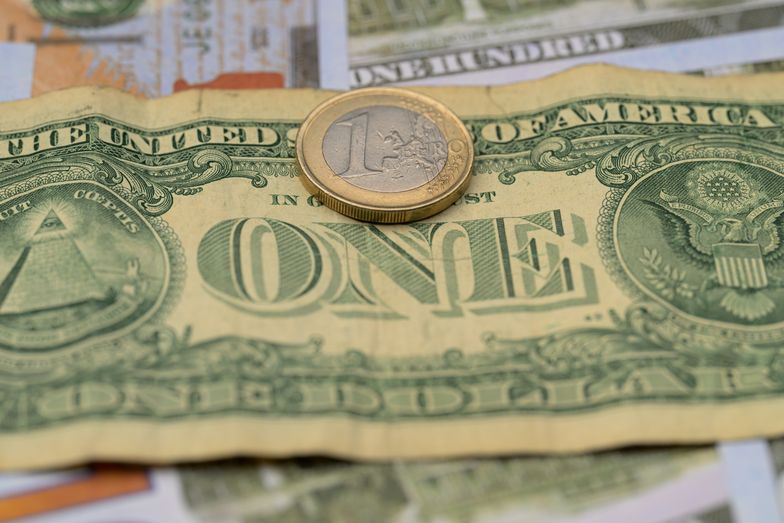 Złoty traci. Tak zmieniła się wartość dolara i euro