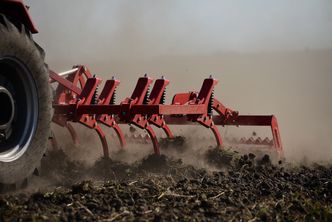 Dwucyfrowe wzrosty cen produktów rolnych. Skutki odczujemy w portfelach