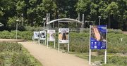 Szczecin: Różany szlak adopcji. Poznaj psy i koty czekające na adopcję [ZDJĘCIA]