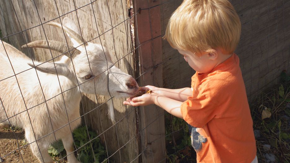 Wizyta w zoo zakończyła się tragicznie
