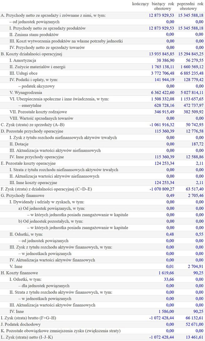 Wyniki finansowe spółki Bonum
