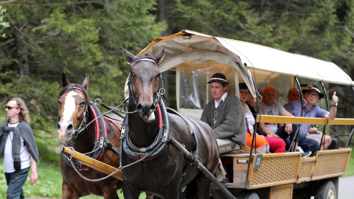 Nie tylko zaprzęgi konne pojadą do Morskiego Oka