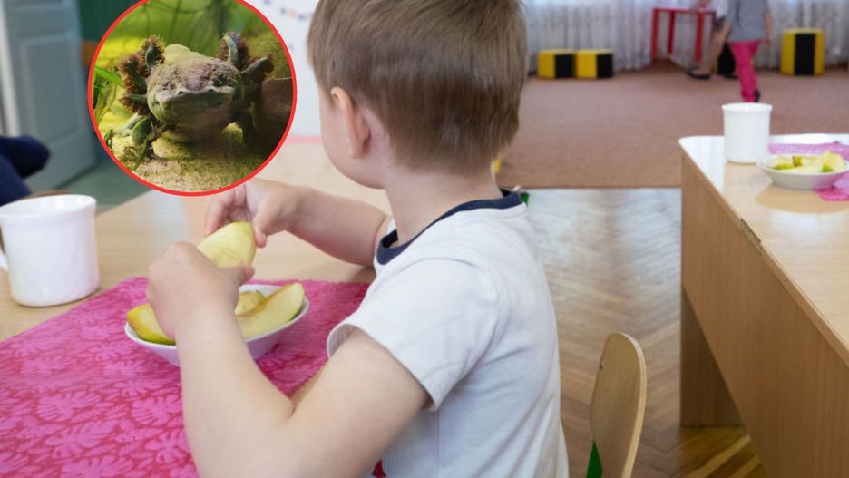 Zdjęcie ilustracyjne