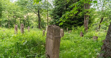 Plac zabaw na grobach w Białymstoku. Zapowiadają zgłoszenie