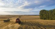 Wypłacili już ponad 700 mln złotych. 40 tys. rolników wciąż czeka