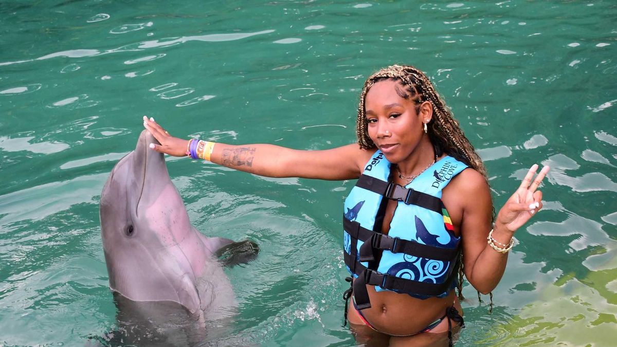 Zabawa z delfinami zaczęła się niewinnie