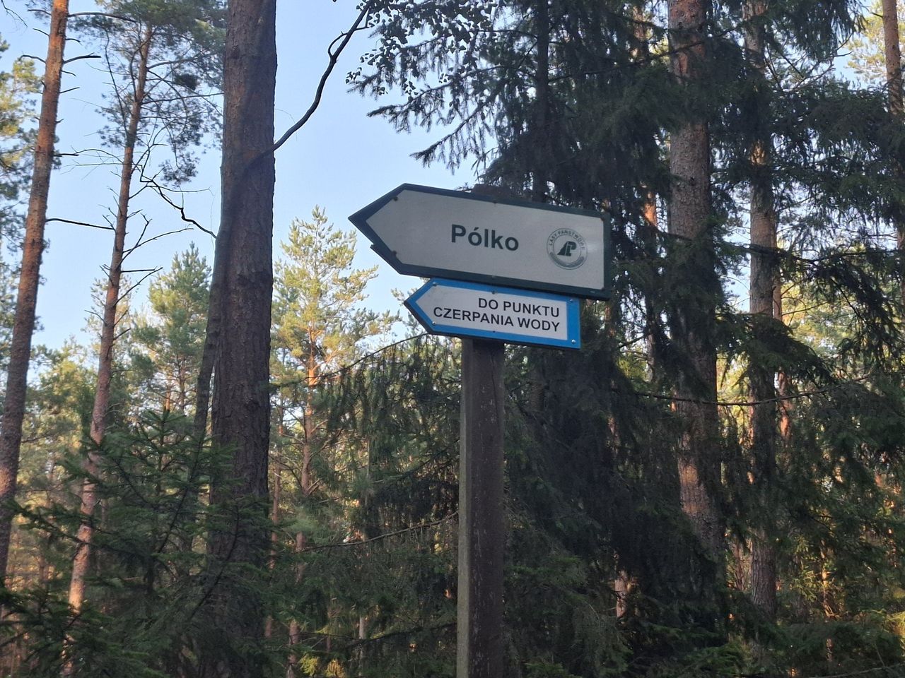 Supraśl: "Pólko" to popularne miejsce bez podstawowych udogodnień