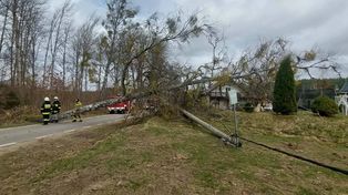 Pomorze: Przez silny wiatr ok. 8 tys. odbiorców bez prądu