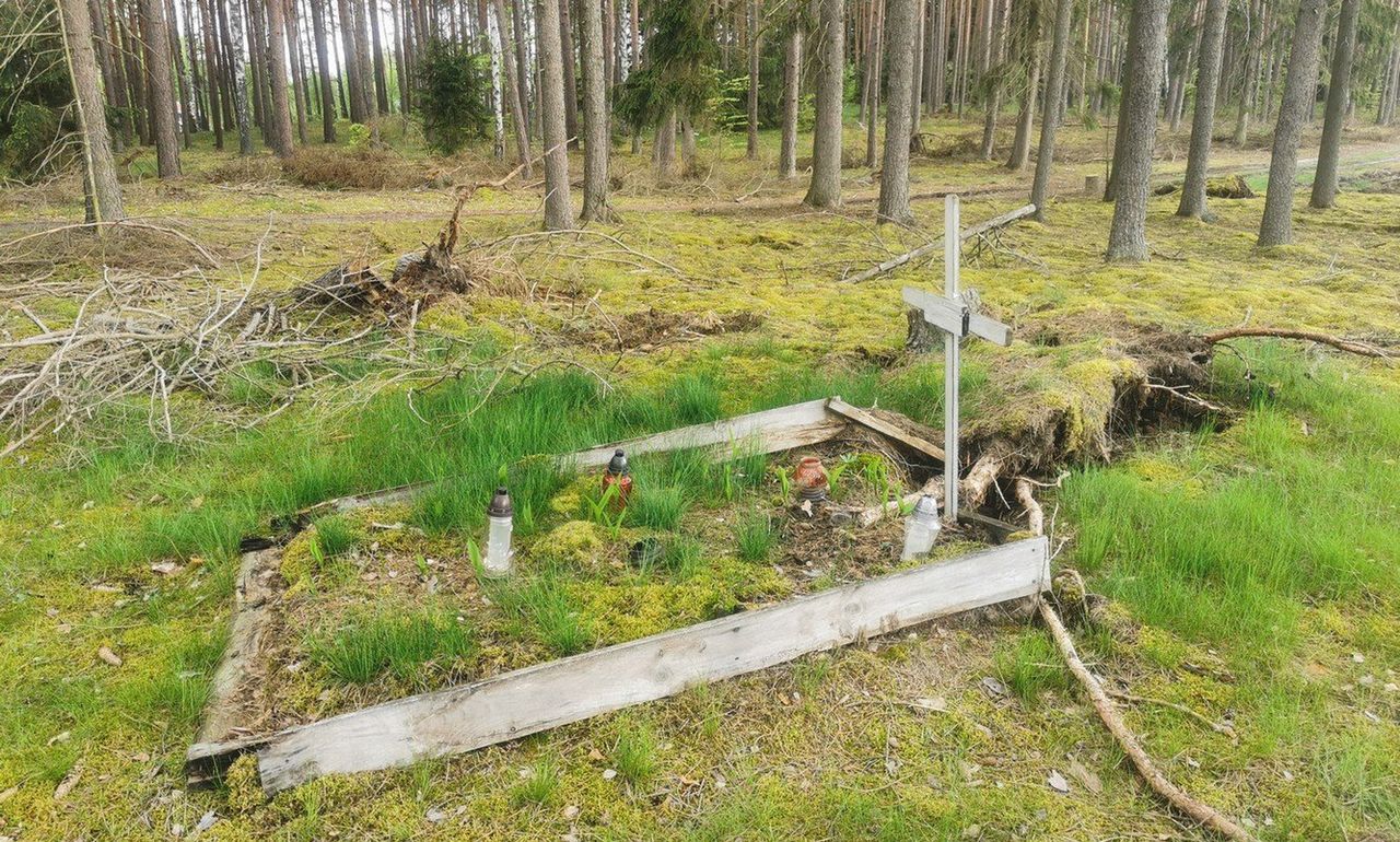 Masowy grób w pobliżu Niekurska 