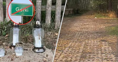 Zwłoki 4-latka w lesie. Nowe informacje śledczych