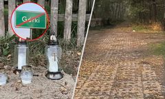 Zwłoki 4-latka w lesie. Nowe informacje śledczych