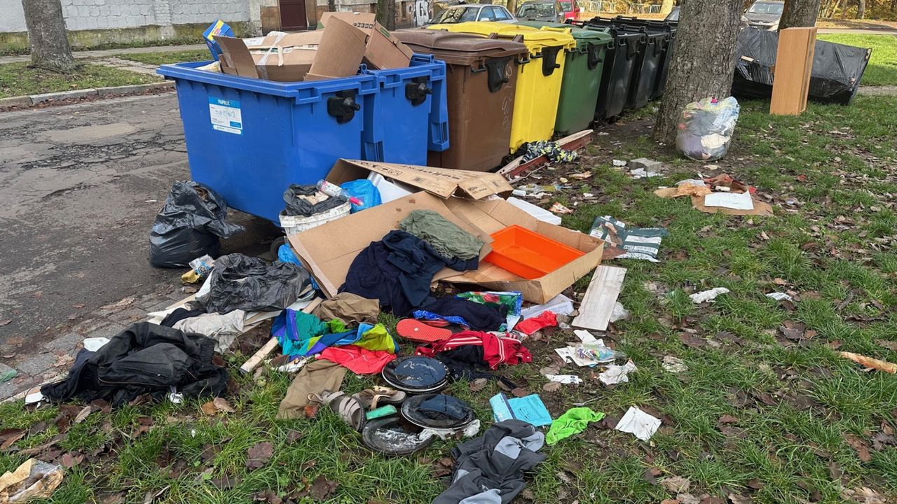 Gorzów: Mały Chróścik przy stadionie. Dlaczego nikt tego nie sprząta?