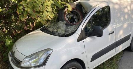 Cud na DK 224 w Bolesławowie. Zdjęcie mówi samo za siebie