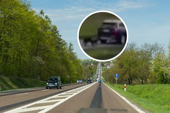 Ciągnął psy za samochodem. Tak się teraz tłumaczy