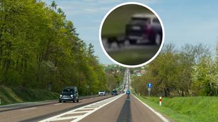 Ciągnął psy za samochodem. Tak się teraz tłumaczy