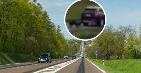 Ciągnął psy za samochodem. Tak się teraz tłumaczy