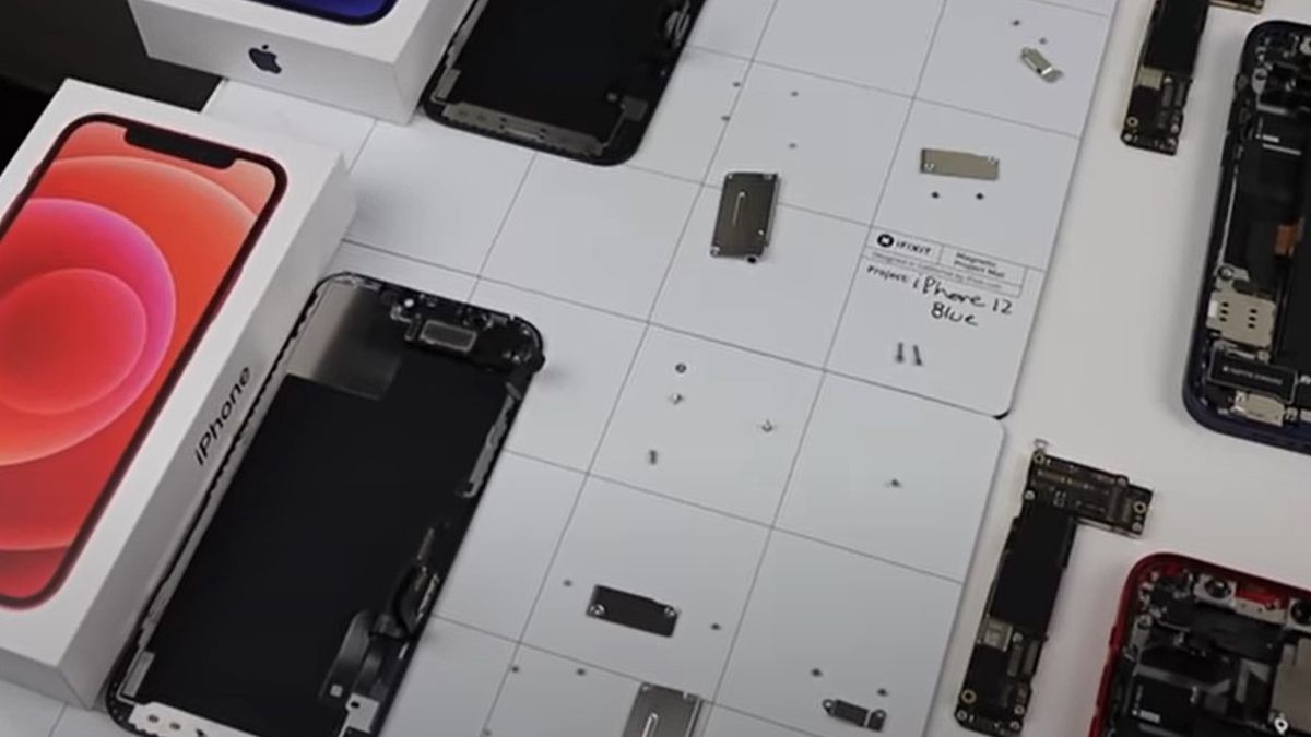 fot. YouTube (Hugh Jeffreys)