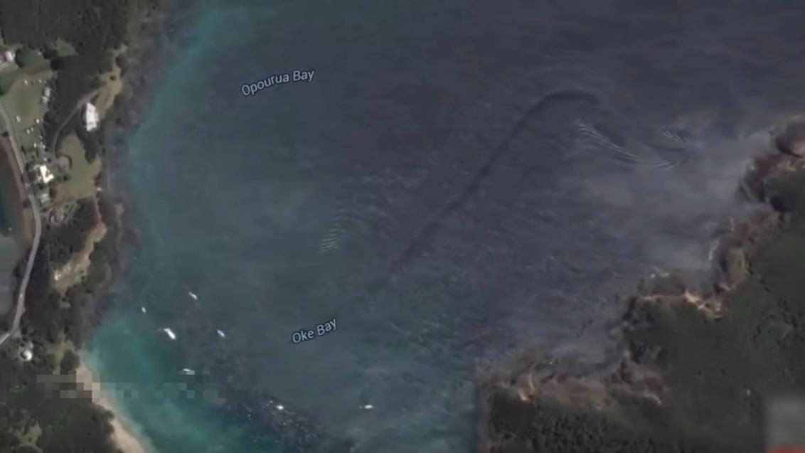 Mapy Google. Dziwny stwór na Oke Bay.