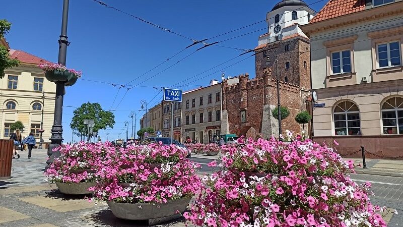 Letnia odsłona kwietnych dekoracji na Placu Łokietka
