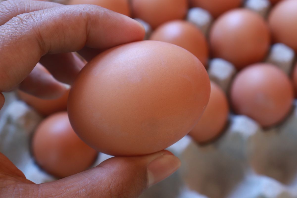 How many eggs can one eat per day?