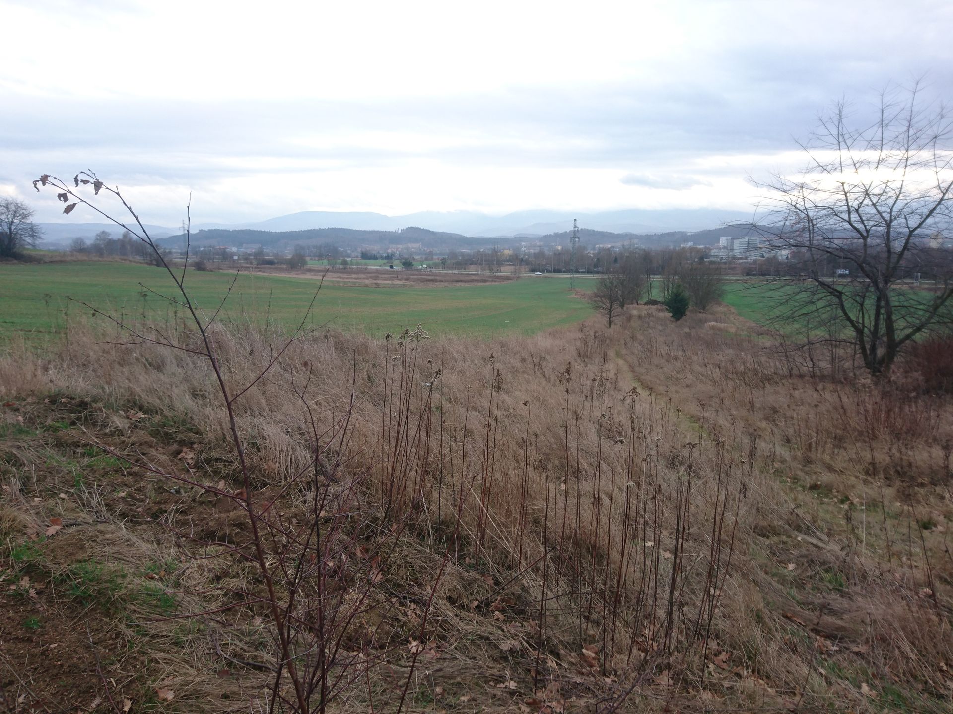 Test Sony Xperia Z5 - sprawdzamy możliwości fotograficzne flagowca 105