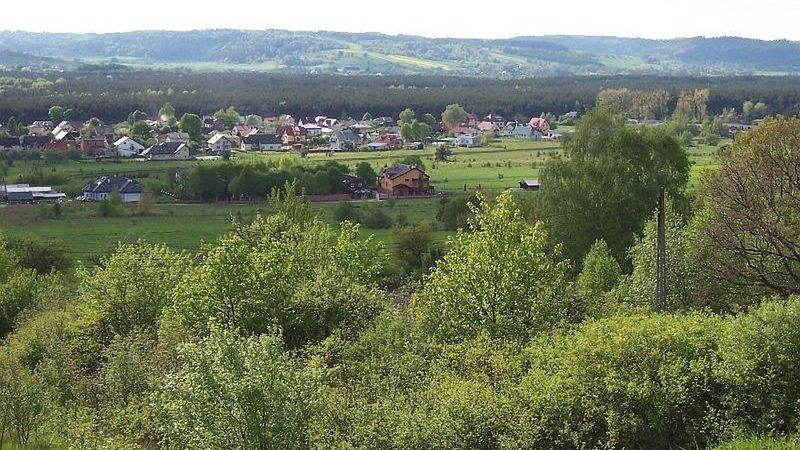 Widok z Tartacznej Góry na Zwierzyniec i pobliskie tereny Roztoc