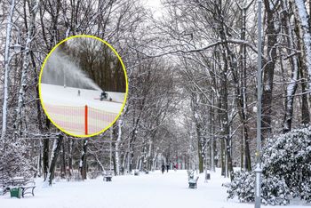 W Katowicach przecierają oczy ze zdumienia. Śniegu mają aż nadto