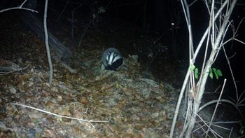 Nowy lokator w historycznym miejscu. "Trzymamy kciuki"