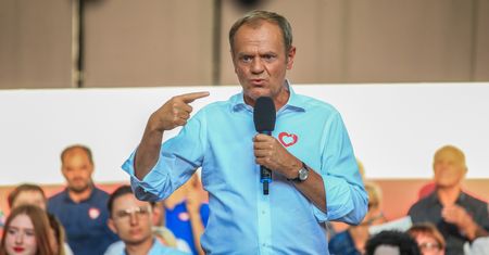 Donald Tusk o prywatyzacji Lasów Państwowych. "To absurdalne"