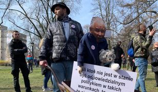 11. rocznica katastrofy smoleńskiej. "Wolni Przedsiębiorcy" przywieźli taczki dla prezesa PiS