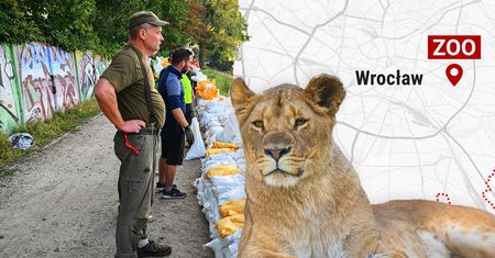 Serce ZOO zagrożone. "Jeżeli wdarłaby się woda, nie udałoby się uratować obiektu"