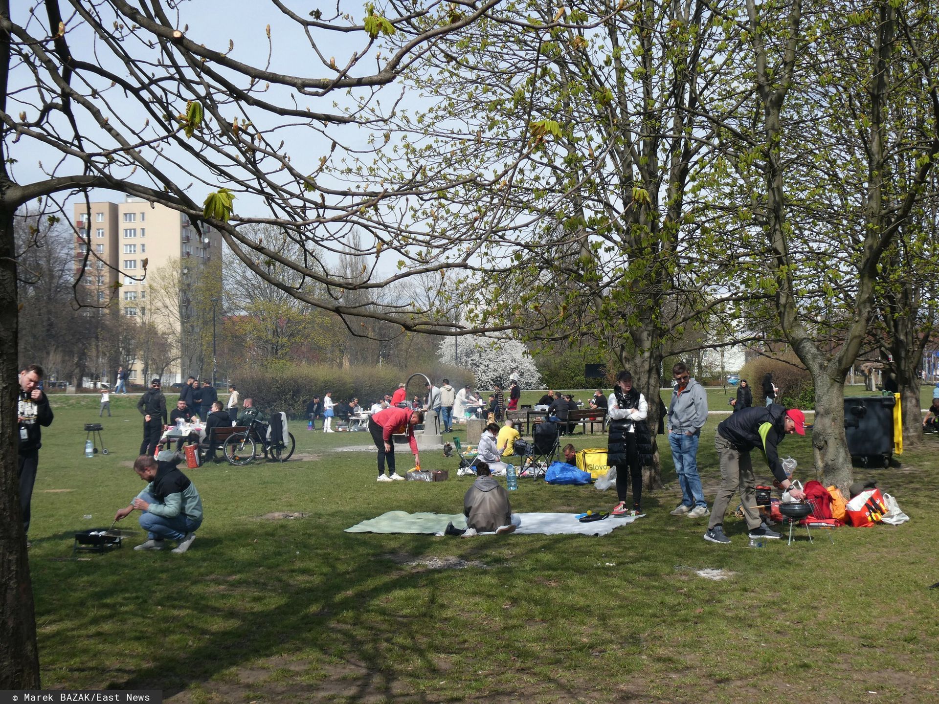 Zasady grillowania. Oto jak nie dostać 5 tys. zł kary